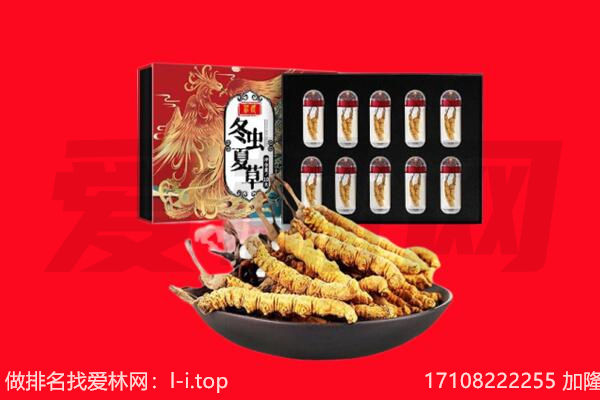 中江县回收虫草.jpg